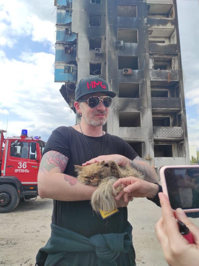 Кішка Шафа після порятунку